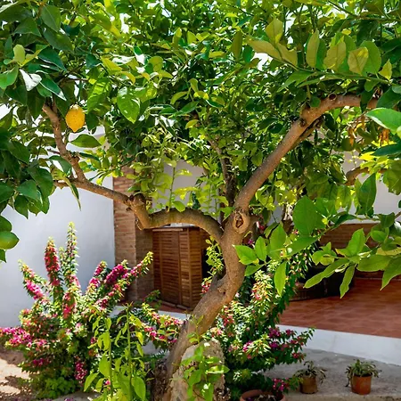 Casa de Férias La Bombonera Catadau